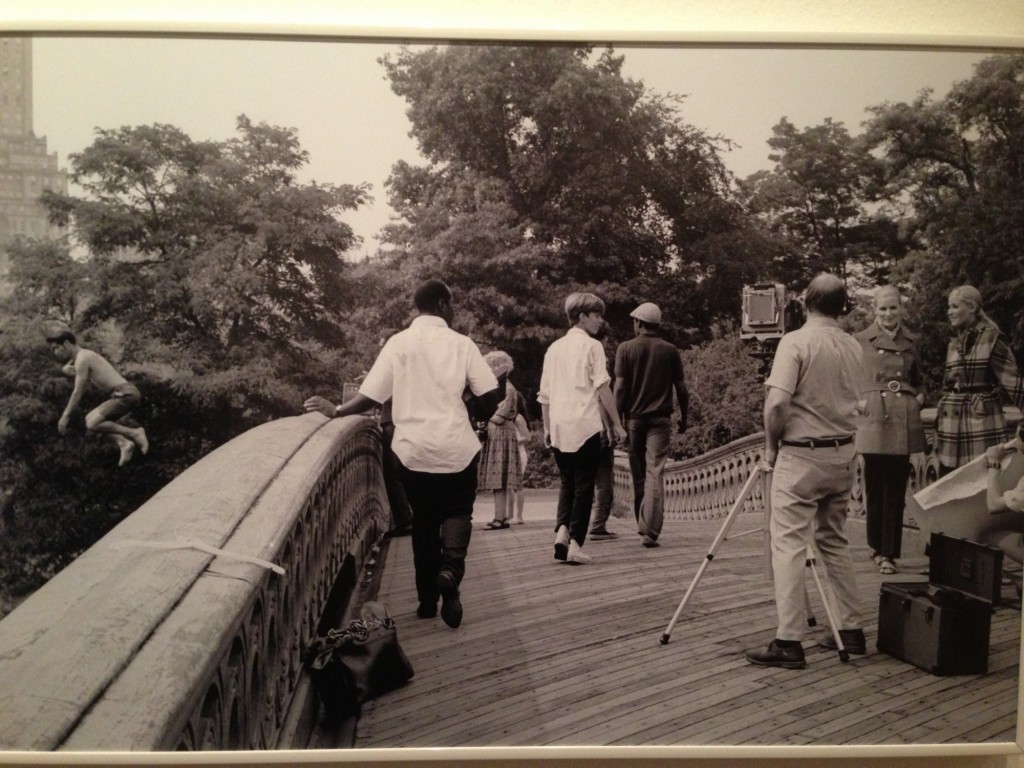 Central Park Joel Meyerowitz