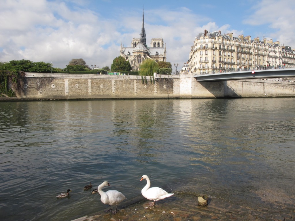 la Seine