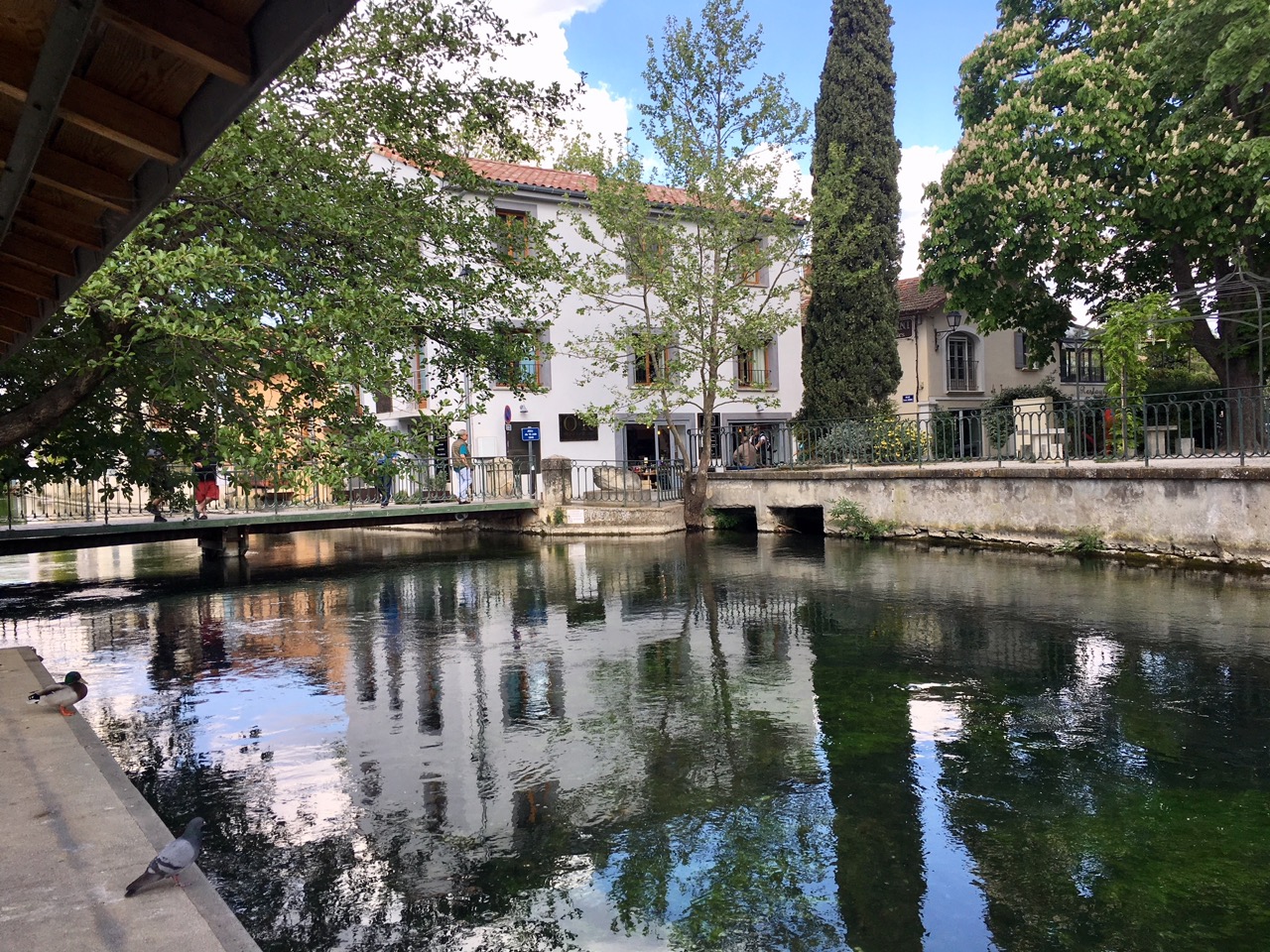 L'Isle sur la Sorgue - bourg monde - The parisienne